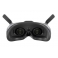 FPV видео-очки DJI Goggles 2